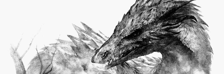 lefoumarc's profile banner image