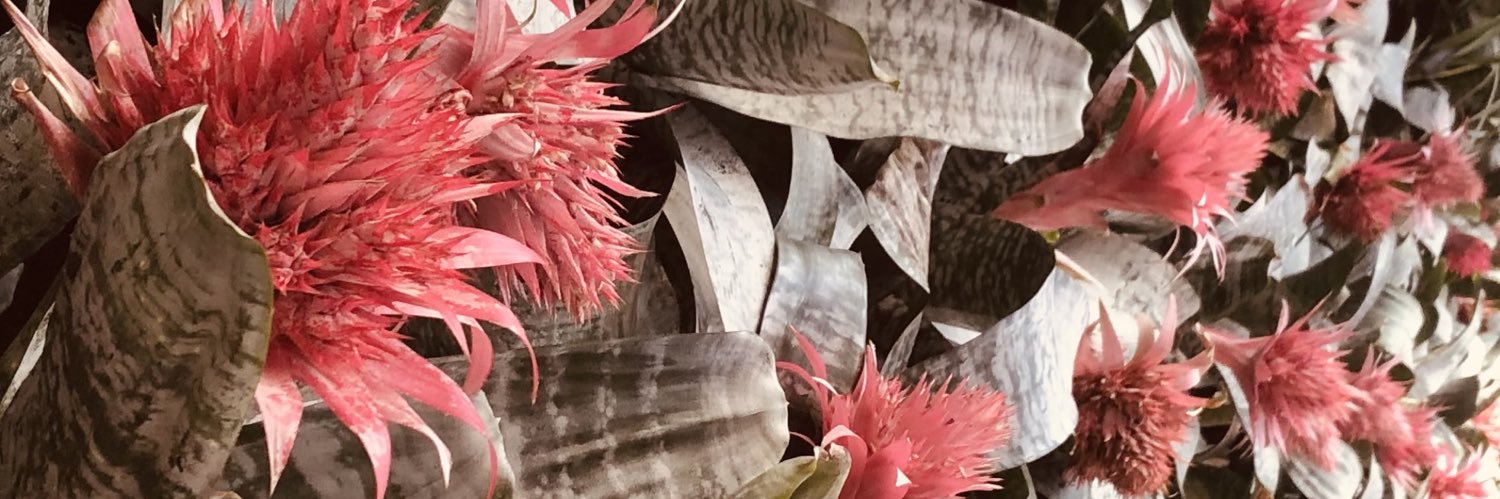 MayteRdR's profile banner image