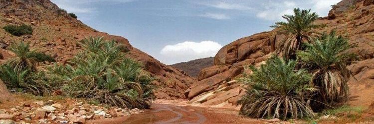 aboabdollah89's profile banner image