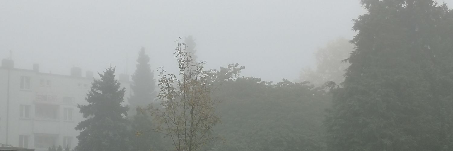 theodogeodo's profile banner image