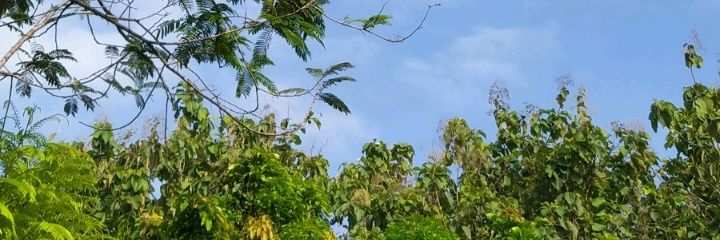 ndiwindi27's profile banner image