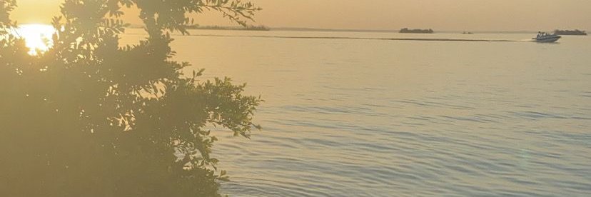 gutosouza__'s profile banner image