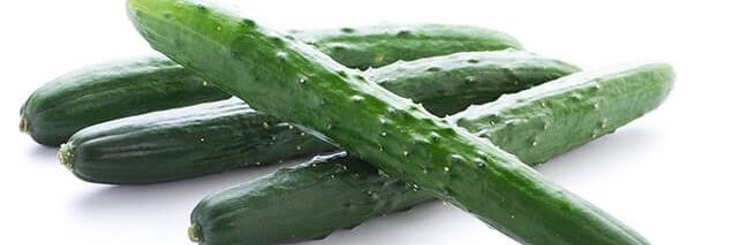 しなびたきゅうり banner