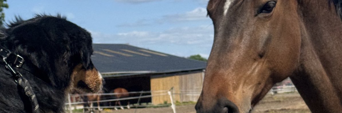 TheVavaFast's profile banner image
