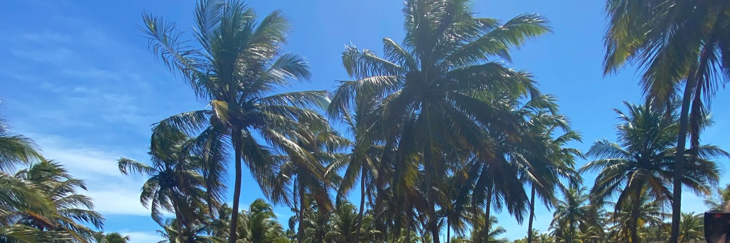 luanadiasmende2's profile banner image