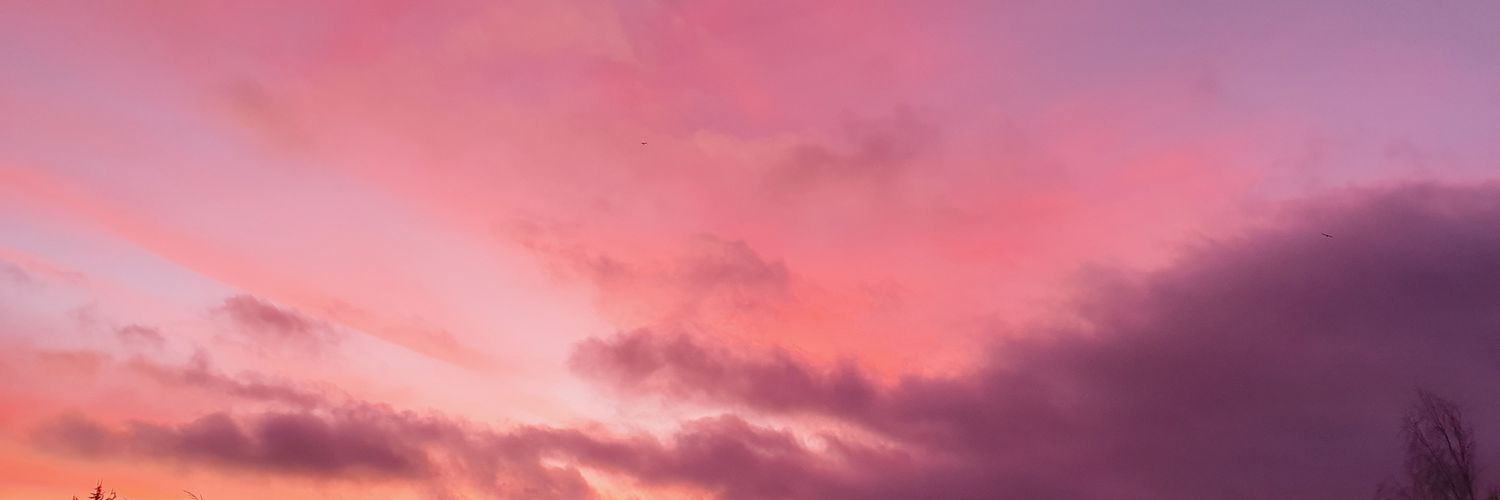 LandaMargaret's profile banner image