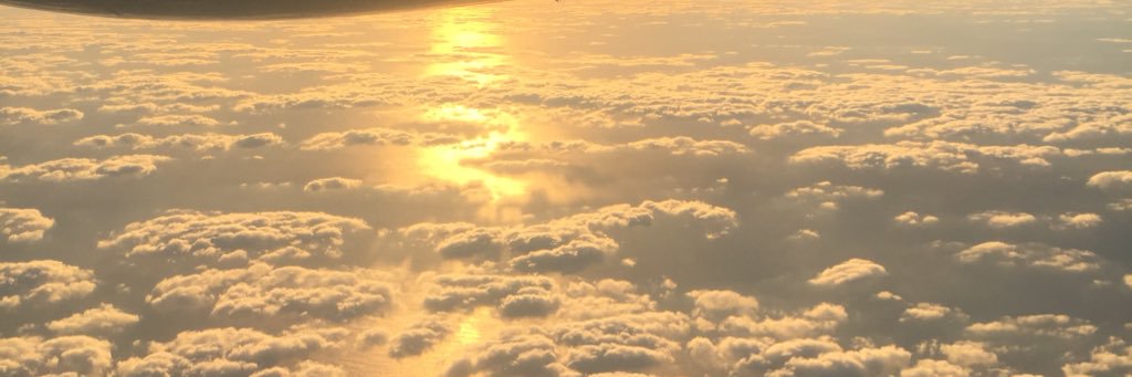 TGrizz23's profile banner image