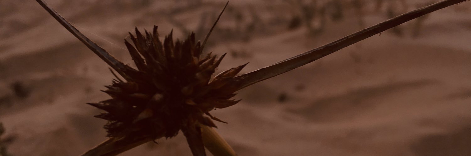TfarrahMh's profile banner image