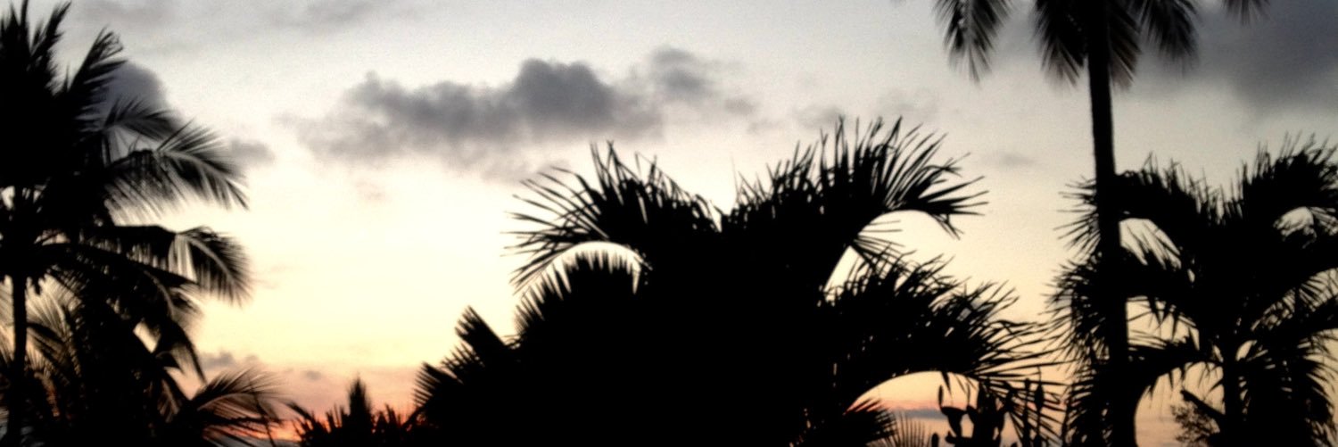 antoswag69's profile banner image