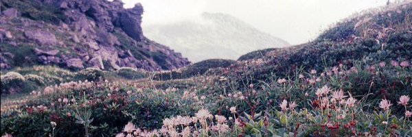 spaghettiboi69 Profile Banner