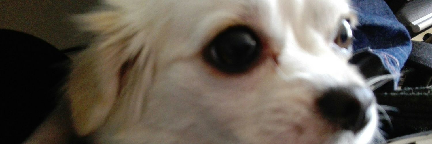 analiget's profile banner image