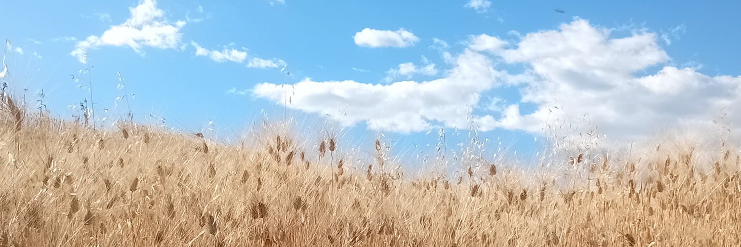 manuchad's profile banner image