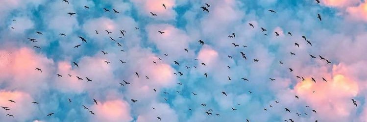 iil_c3's profile banner image