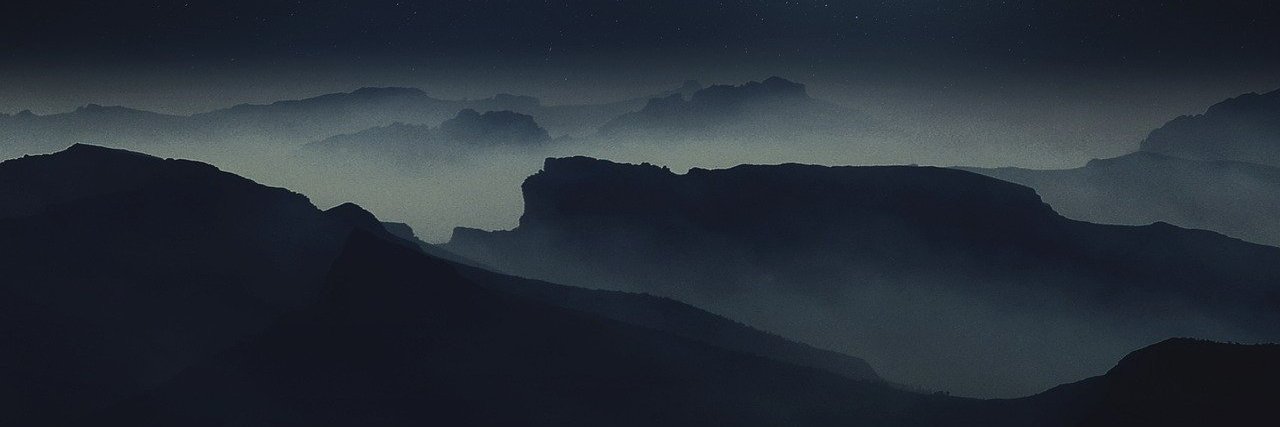 Sheliaa banner