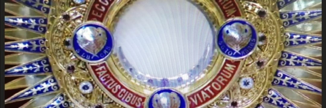 cbarretoblue's profile banner image