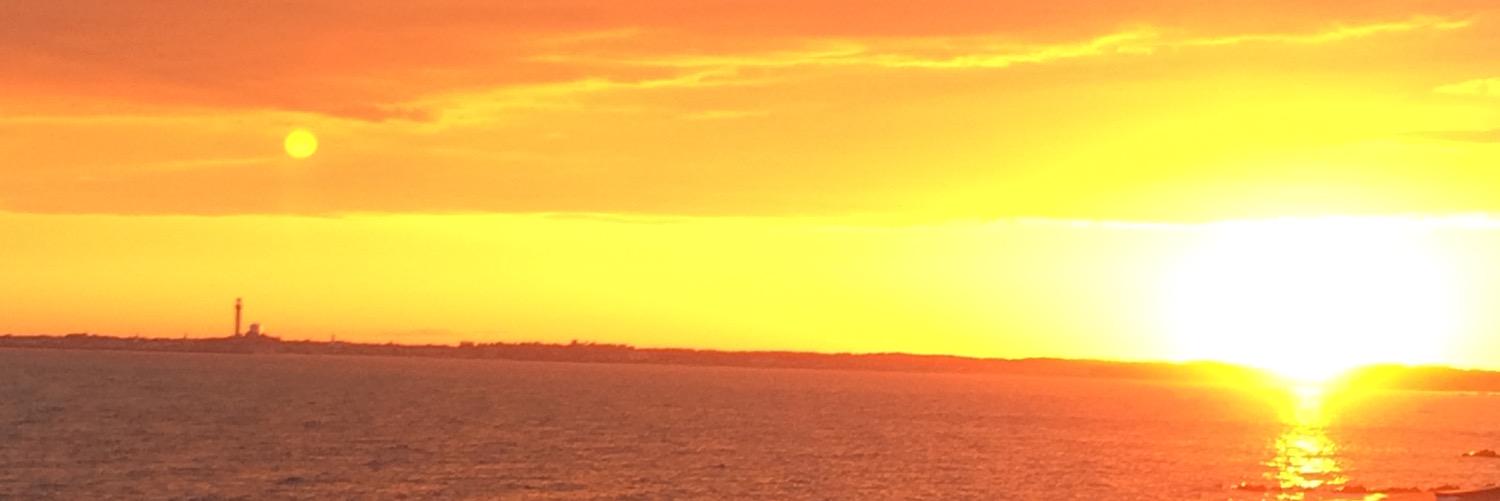 nancpl's profile banner image