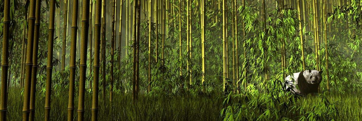 TheStii's profile banner image