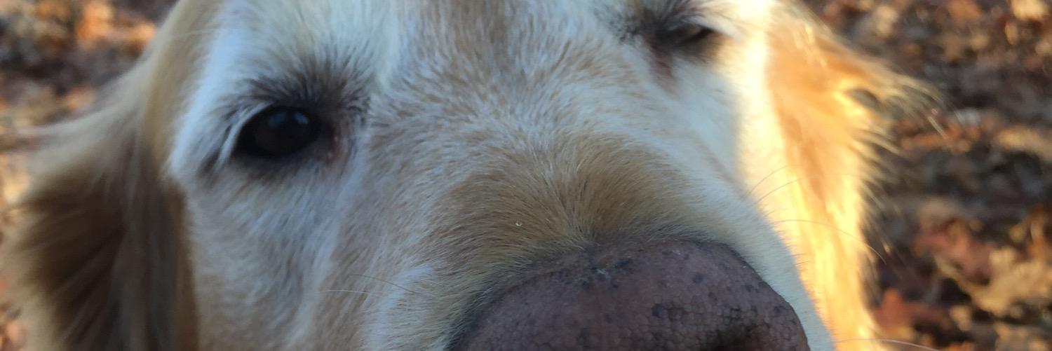 jamespmcclure's profile banner image