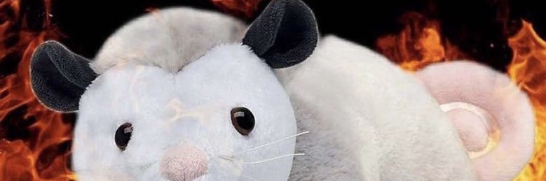 KayliSilkett's profile banner image