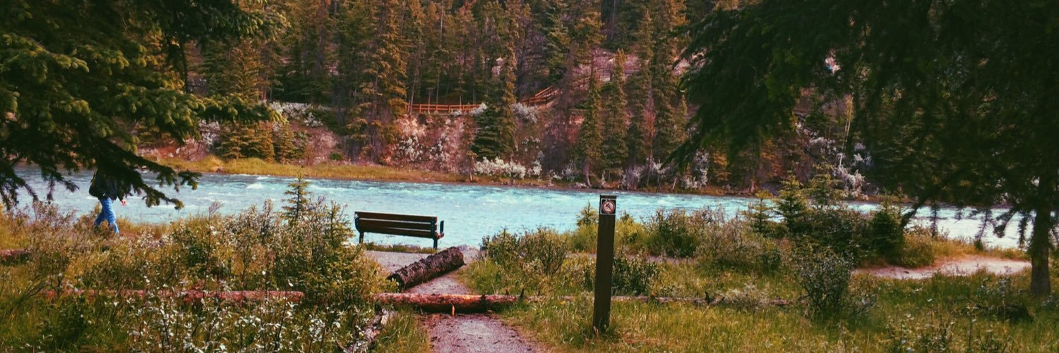 rebeccacoady's profile banner image