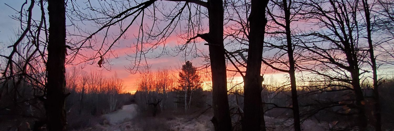 Ty921's profile banner image