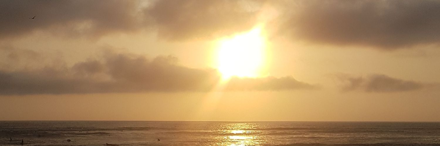 suicharly76's profile banner image