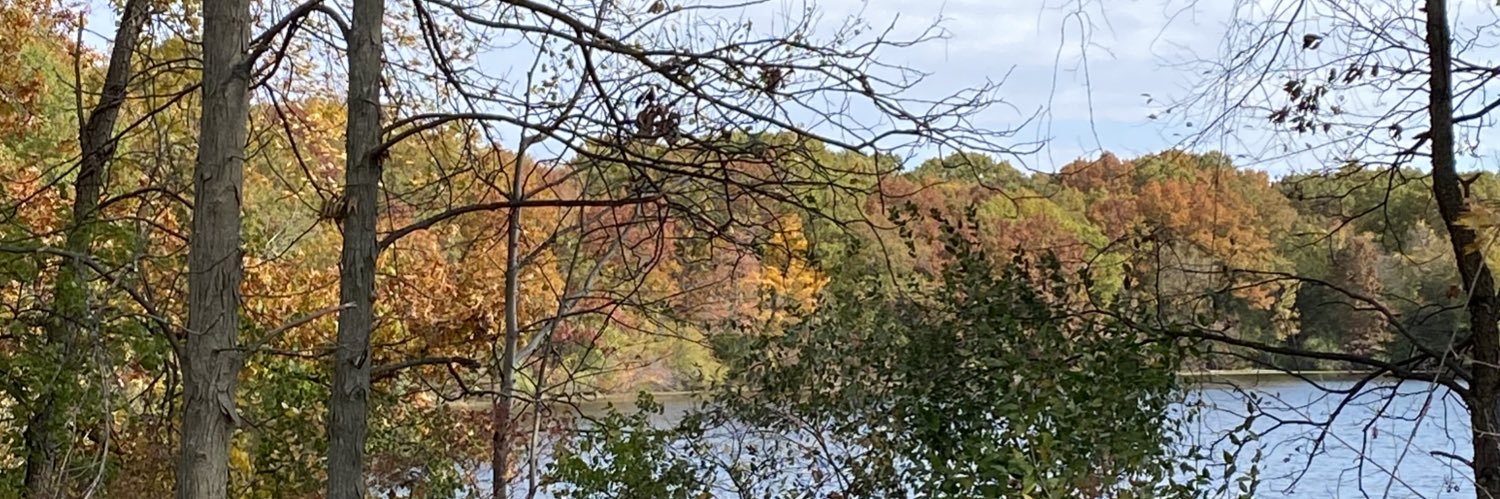 Meldisny's profile banner image