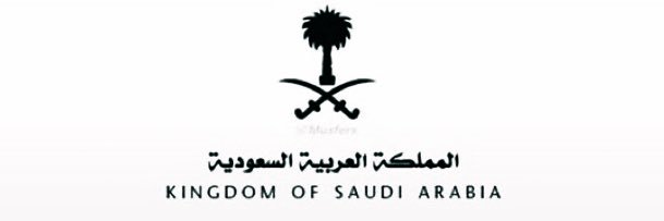 الروسي 🦅 banner