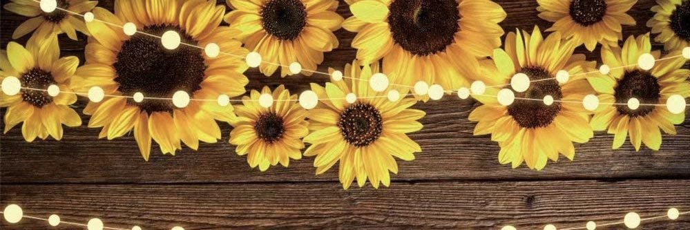 AshleyTraxler's profile banner image
