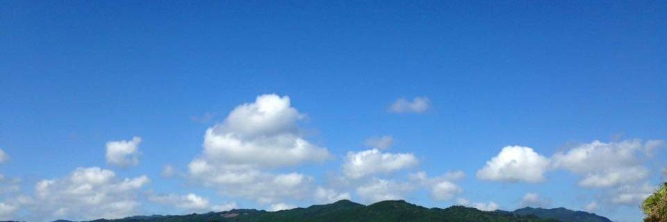 じゃろうが banner