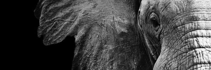ClaudioEa1's profile banner image