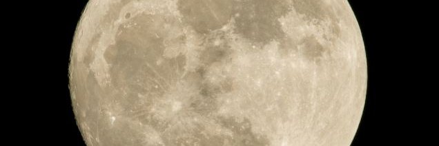 SMerkelson's profile banner image