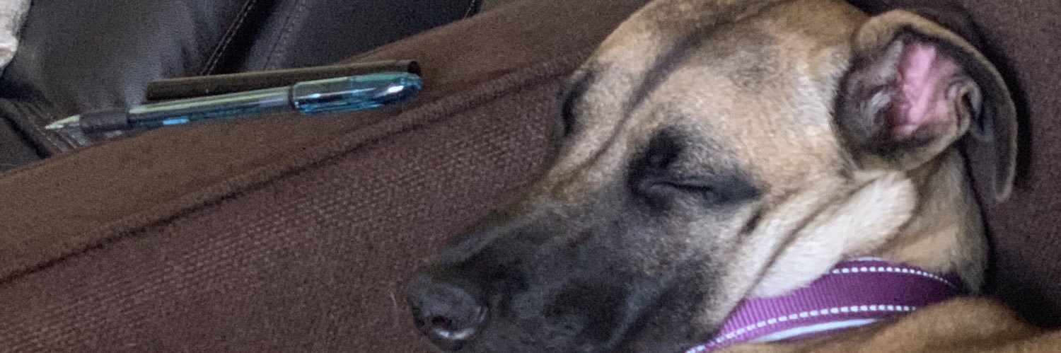 LauraCRdz's profile banner image