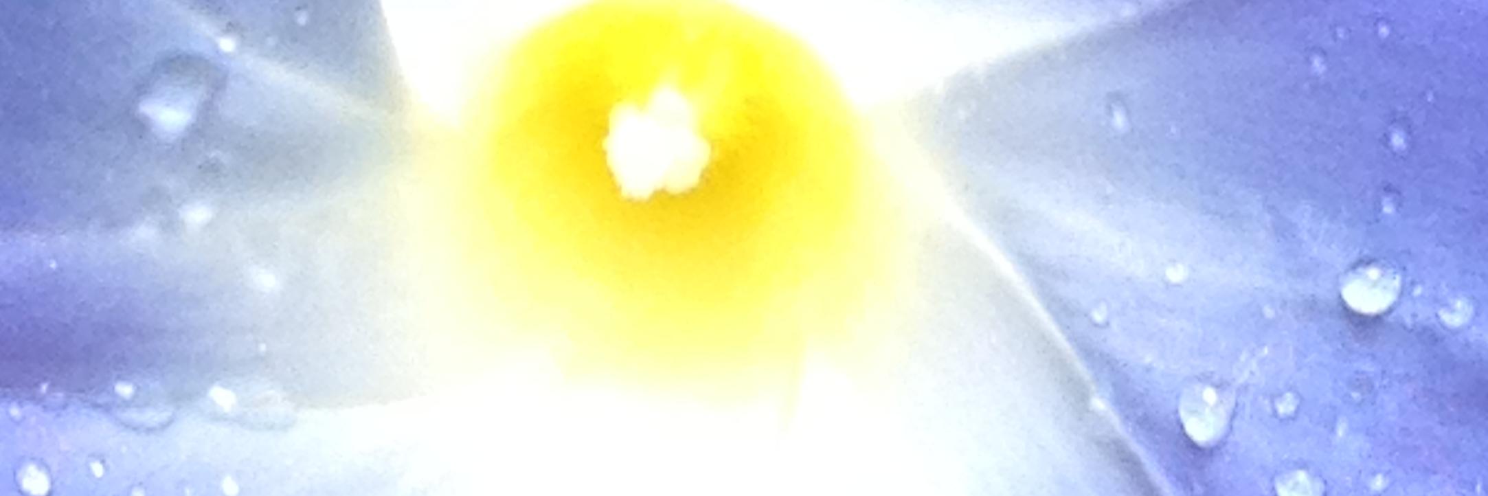 SusanWindle's profile banner image