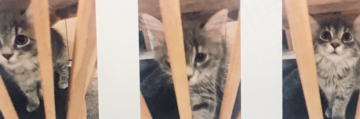 halalaverty's profile banner image