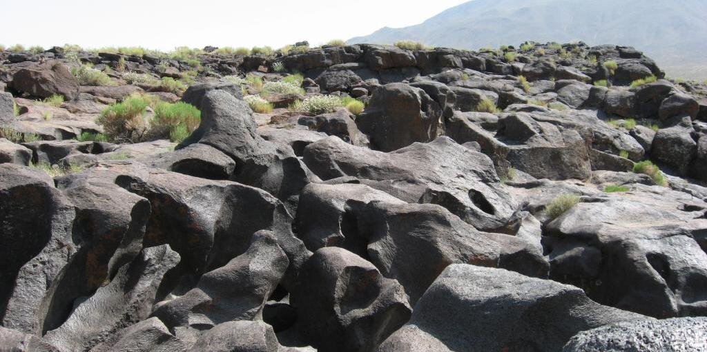 Alyssa Davidson banner