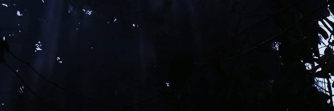 Ha11s_Yuuki's profile banner image