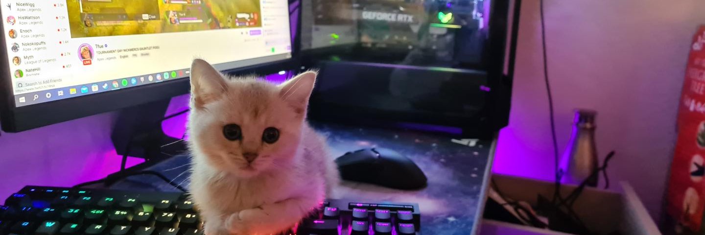 MIY9x's profile banner image