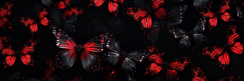 Eva__05's profile banner image