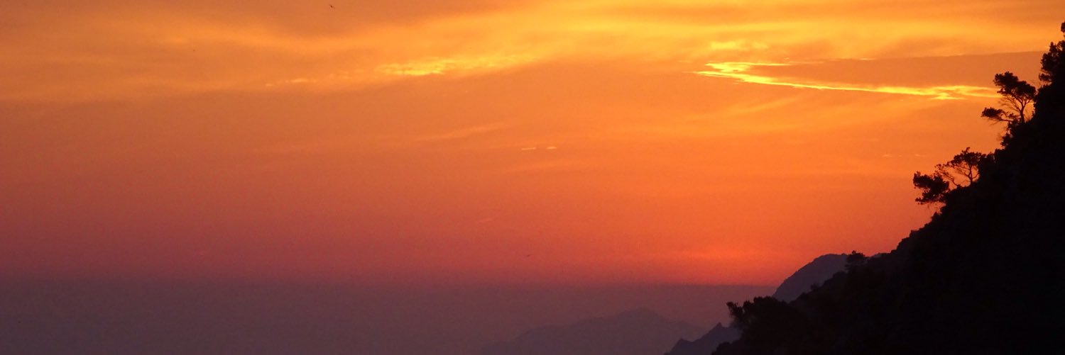 SterlingBray's profile banner image