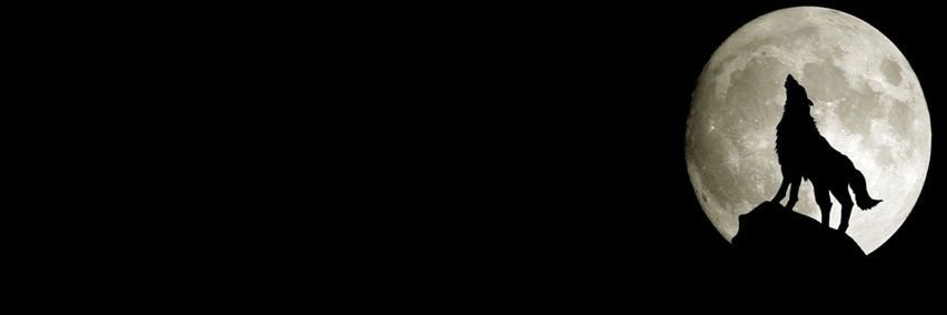 Argomo__'s profile banner image