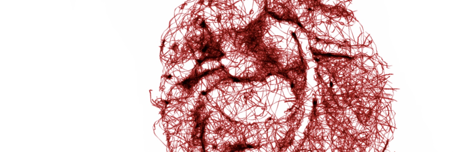 Jacobo Kirsch, MD, MBA, FACR banner