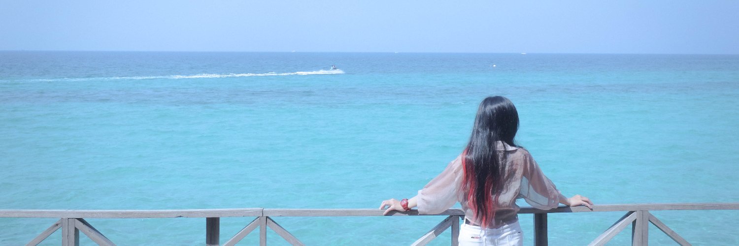 SakuraTohru's profile banner image