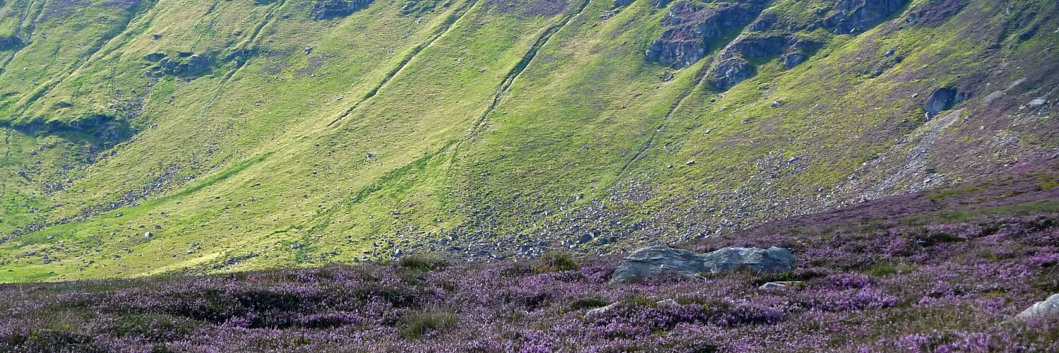 LandscapeAngus's profile banner image