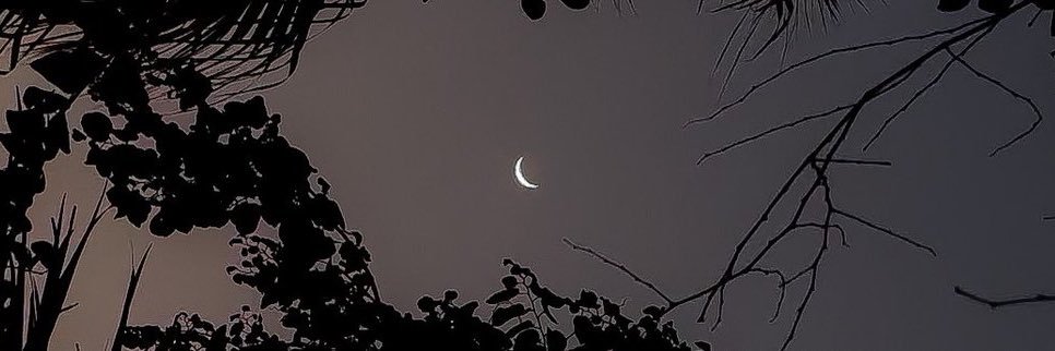 befkn4rl_'s profile banner image