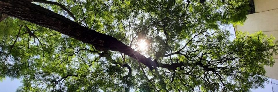 munive_p's profile banner image