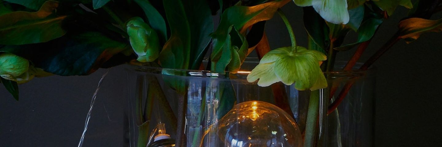 Benito Camela 🙊 banner