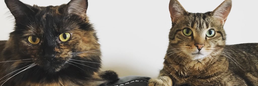 LtotheACIE's profile banner image