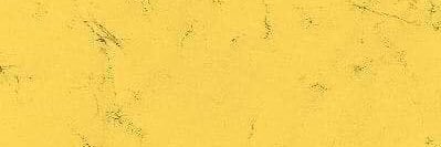 Salacnity's profile banner image