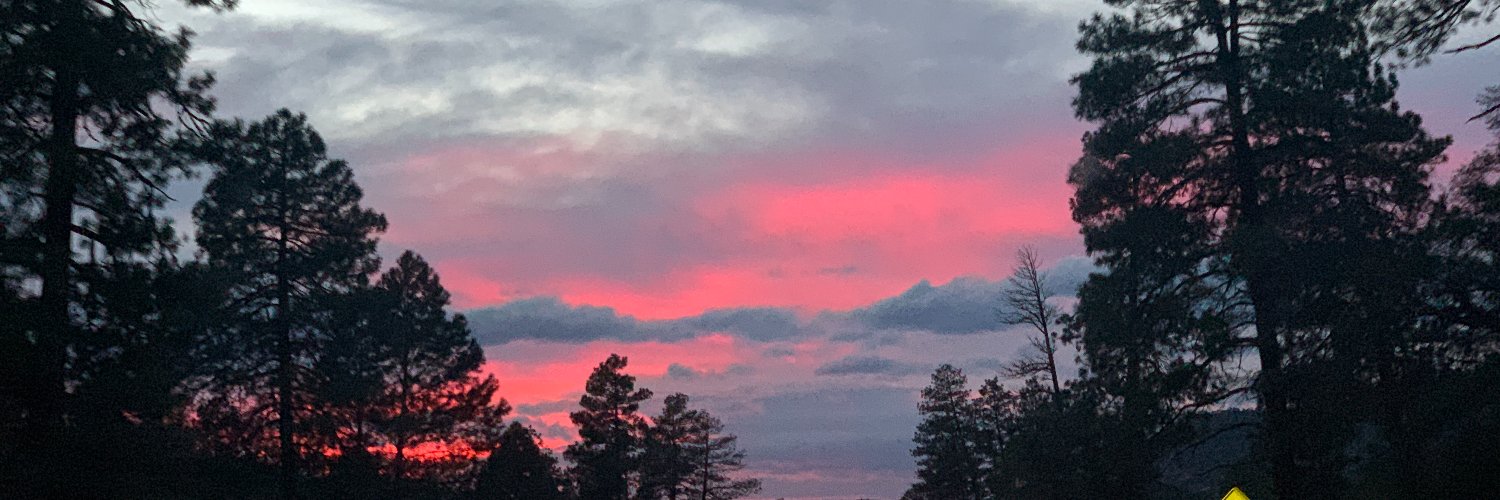 JenJen_824's profile banner image